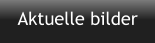 Aktuelle bilder