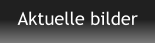Aktuelle bilder
